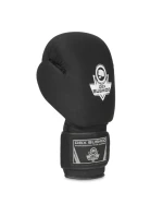 Boxerské rukavice 8oz - EverClean - Origin Series