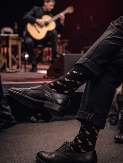 Pánské ponožky Malé kytary 0125.122