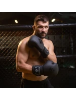 Boxerské rukavice 10oz - Black Master - Valor Series