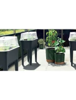 35 L HOME GROWER TOMATODLE PLANTING TUBER WITH GRADING RACK GREEN PINIA dětské
