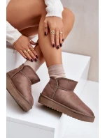 Dámské Sněhule Na Platformě D.Franklin DFSH370010 Taupe