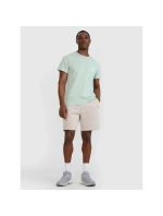 Pánské tričko s potiskem 4F 4FWSS25TTSHM1980-47S