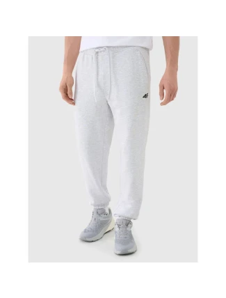 Pánské tepláky typu jogger 4F 4FWMM00TTROM1139-27M