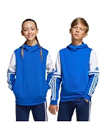 Adidas Squadra 25 Sweat Hoody Jr JD4806 Mikina Adidas Squadra 25 Sweat Hoody Jr JD4806 Mikina