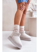 Dámské Sněhule Na Platformě Zateplené Kožíškem Světle Šedé Xamella