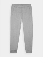 Pánské sportovní rychleschnoucí kalhoty 4F - chladné světle šedé