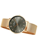 Dámské hodinky Bisset BSBF33-4 Dámské hodinky Bisset BSBF33-4