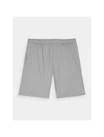 Pánské pravidelné rychleschnoucí tréninkové šortky 4F 4FWAW24TFSHM697-25M