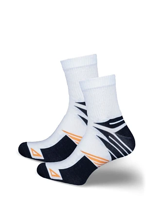 Pánské ponožky ACTIVE 0224.051
