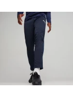 Puma Team Goal Training M kalhoty 658639 06 Puma Team Goal Training M kalhoty 658639 06