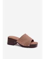 Dámské pantofle na klínku s zlatými sponami tmavě béžové Davessa