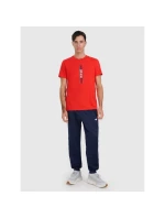 Pánské tričko s potiskem 4F 4FRAW25TTSHM3225-62S