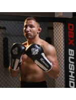 Boxerské rukavice 10oz - Phantom White - Valor Series