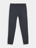 Pánské sportovní kalhoty 4F