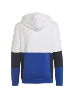 Mikina adidas Colourblock Hoodie Jr HG6826 Mikina adidas Colourblock Hoodie Jr HG6826