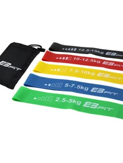 Fitnnes Crosfit mini Band 5v1 EB FIT 1028842