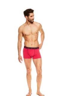PÁNSKÉ BOXERKY JAVA RENE VILARD 37188