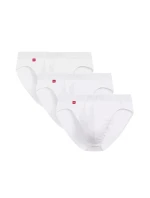 Pánské slipy 3 pack 094 white - Atlantic