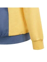 Mikina adidas Cb Ft Hd Jr IS2689 Mikina adidas Cb Ft Hd Jr IS2689