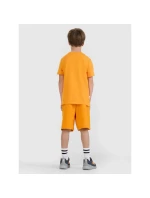 Chlapecké tričko s potiskem 4F 4FJRSS25TTSHM2642-70S