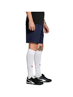 Pánské šortky Puma Team Goal navy blue 705752 06