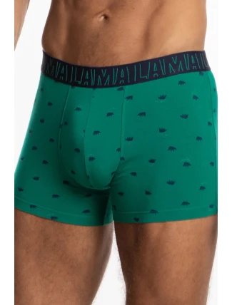 Pánské šortky M-1056SZG 2-pack