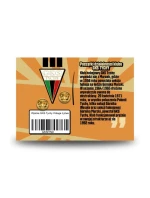 GKS Tychy Premium pin SREBGKS-PIN