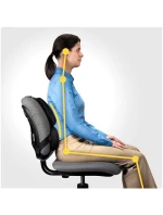 Profesionální polštářek na podporu zad Fellowes Ergonomics