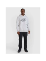 Pánská mikina s kapucí 4F 4FWMM00TSWSM1766-27M s pánskými motivy