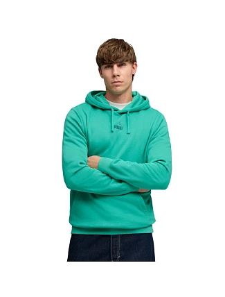 Pánská mikina Puma ESS No.1 Logo Centered Hoodie green 692914 40 pánské