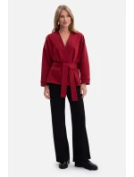 Mikina  model 218678 BeWear