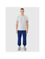 Pánské bavlněné tričko 4F 4FWMM00TTSHM2657-27M