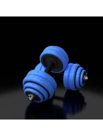 HMS SGG30 BAR sada závaží 2 v 1 (činka a činky) 30 kg