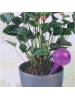 AUTOMATICKÝ DÁVKOVAČ VODY S KULIČKOU 250 ML FIALOVÝ