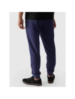 Pánské tepláky typu jogger 4F 4FWMM00TTROM0942-31S