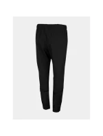 Dámské trekové kalhoty 4F H4L22-SPDTR064 dámské Dámské trekové kalhoty 4F H4L22-SPDTR064 dámské