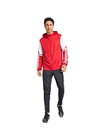 Mikina adidas Squadra 25 Hoody M JD2990 pánské