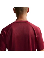 Nike Dri-Fit Park VIII pánské tričko bordó HV8173 677 pánské