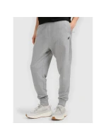 Pánské tepláky typu jogger 4F 4FRMM00TTROM1624-27M