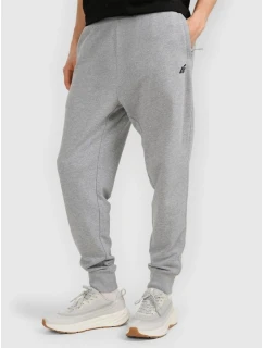 Pánské tepláky typu jogger 4F 4FRMM00TTROM1624-27M