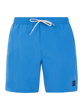 Pánské plážové šortky Protest PRTBAKY Pánské plážové šortky Protest PRTBAKY