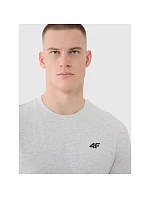 Pánské bavlněné tričko 4F 4FWMM00TTSHM2657-27M