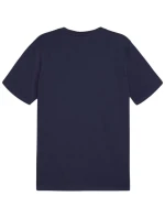 Puma Team Goal Casuals Tee M 658615 06 pánské