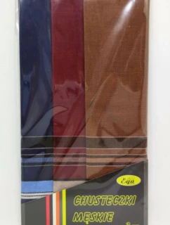 Pánské kapesníky CH-017 kpl=3 ks.