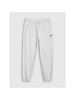 Pánské tepláky typu jogger 4F 4FWMM00TTROM1139-27M