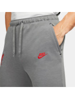 Pánské kalhoty Liverpool FC M DB7876 088 - Nike