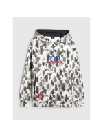 Pánská volná mikina s kapucí 4F 4FRAW25TSWSM2569-91A