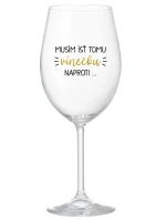 MUSÍM ÍSŤ TOMU VÍNEČKU NAPROTI... - priehľadný pohár na víno 350 ml MUSÍM ÍSŤ TOMU VÍNEČKU NAPROTI... - priehľadný pohár na víno 350 ml