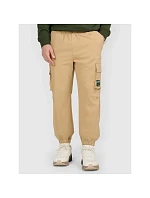 Pánské volnočasové kalhoty 4F 4FRAW25TTROM1690-83S