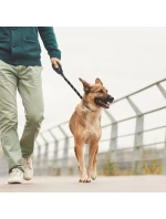 Psí hřiště 150x1,2 cm s krytem